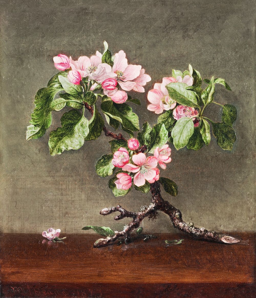 Apple Blossoms (1873) by Martin Johnson Heade. Original from The Cleveland Museum of Art. Digitally enhanced by rawpixel.