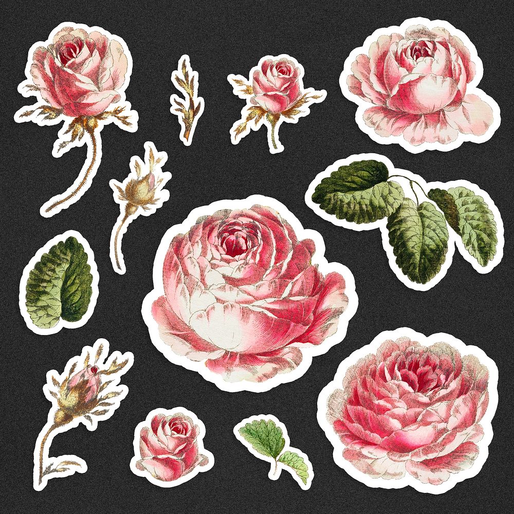 Vintage rose sticker collection on black background