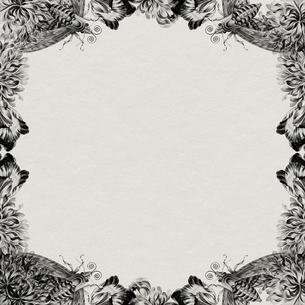Vintage black and white floral frame with moths on texture background design element