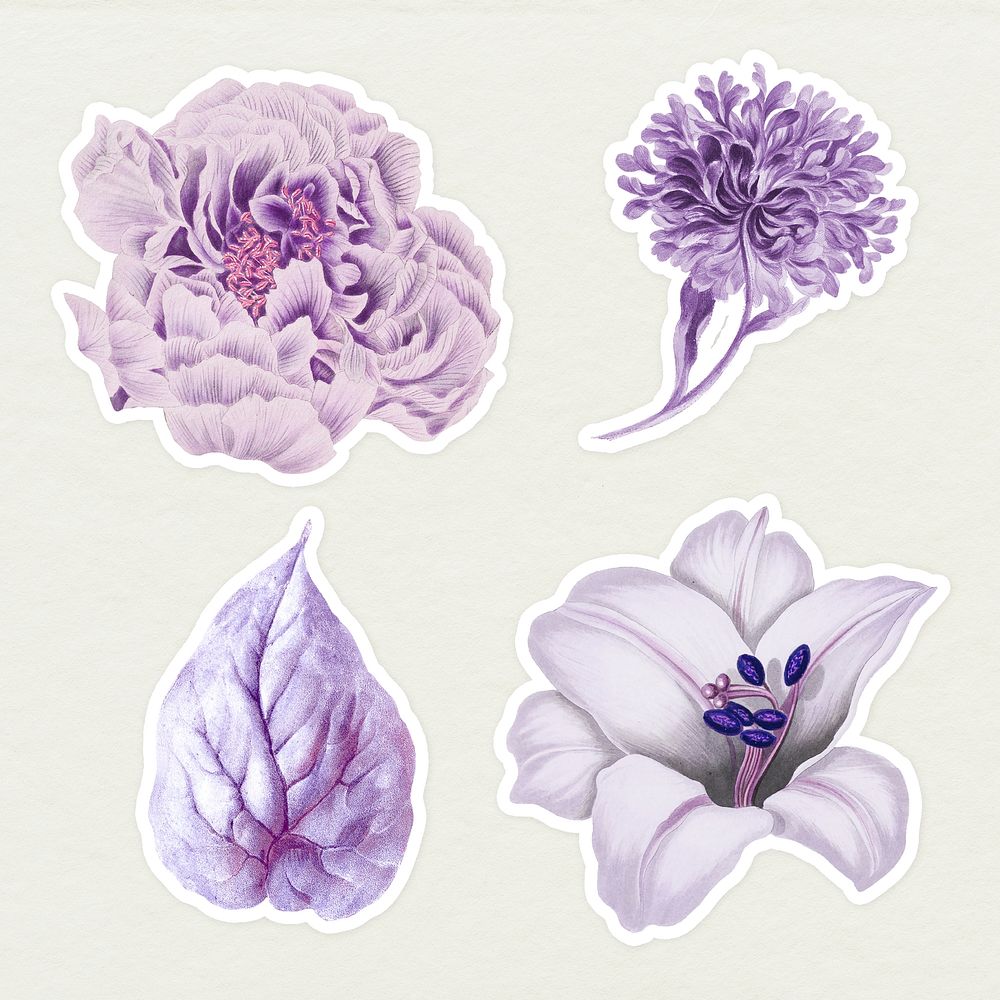 Vintage purple flower and leaf sticker collection