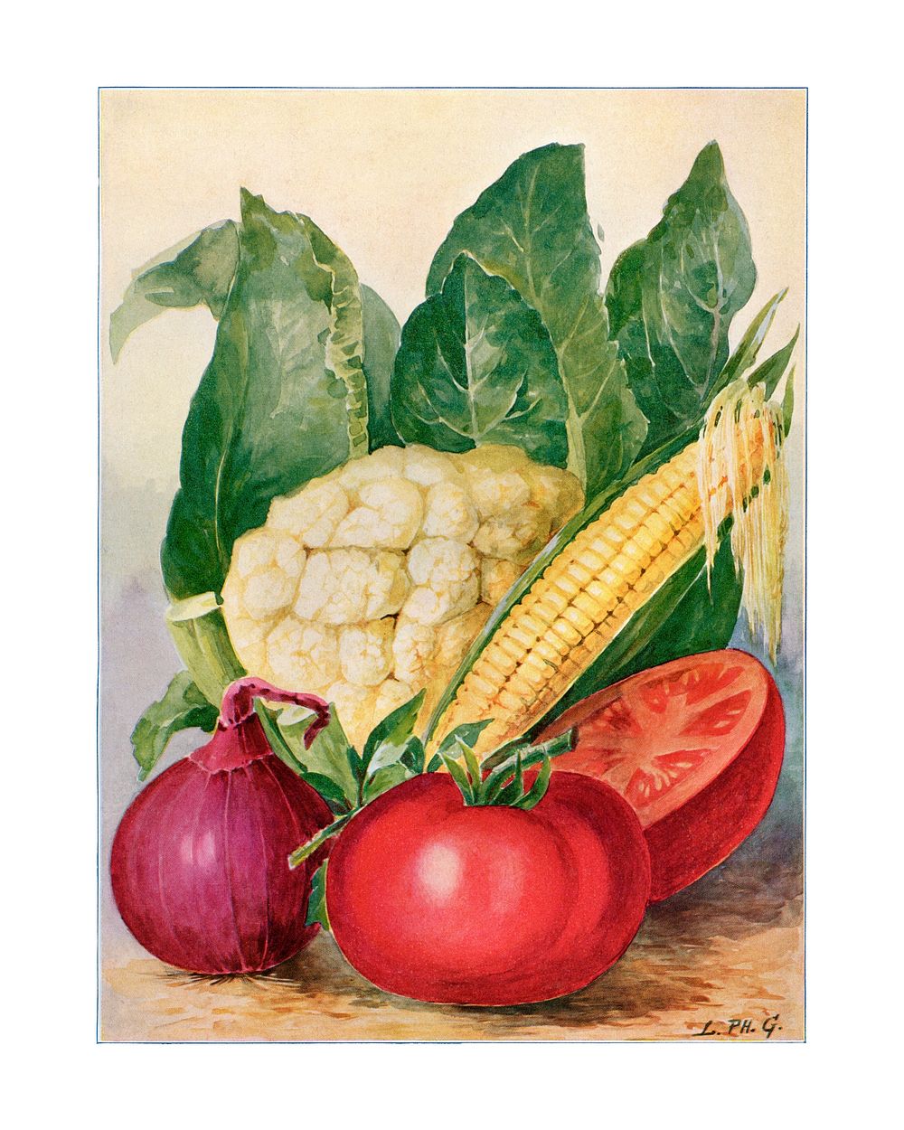 Vegetable illustration, vintage watercolor design, digitally enhanced from our own original copy of The Open Door to…