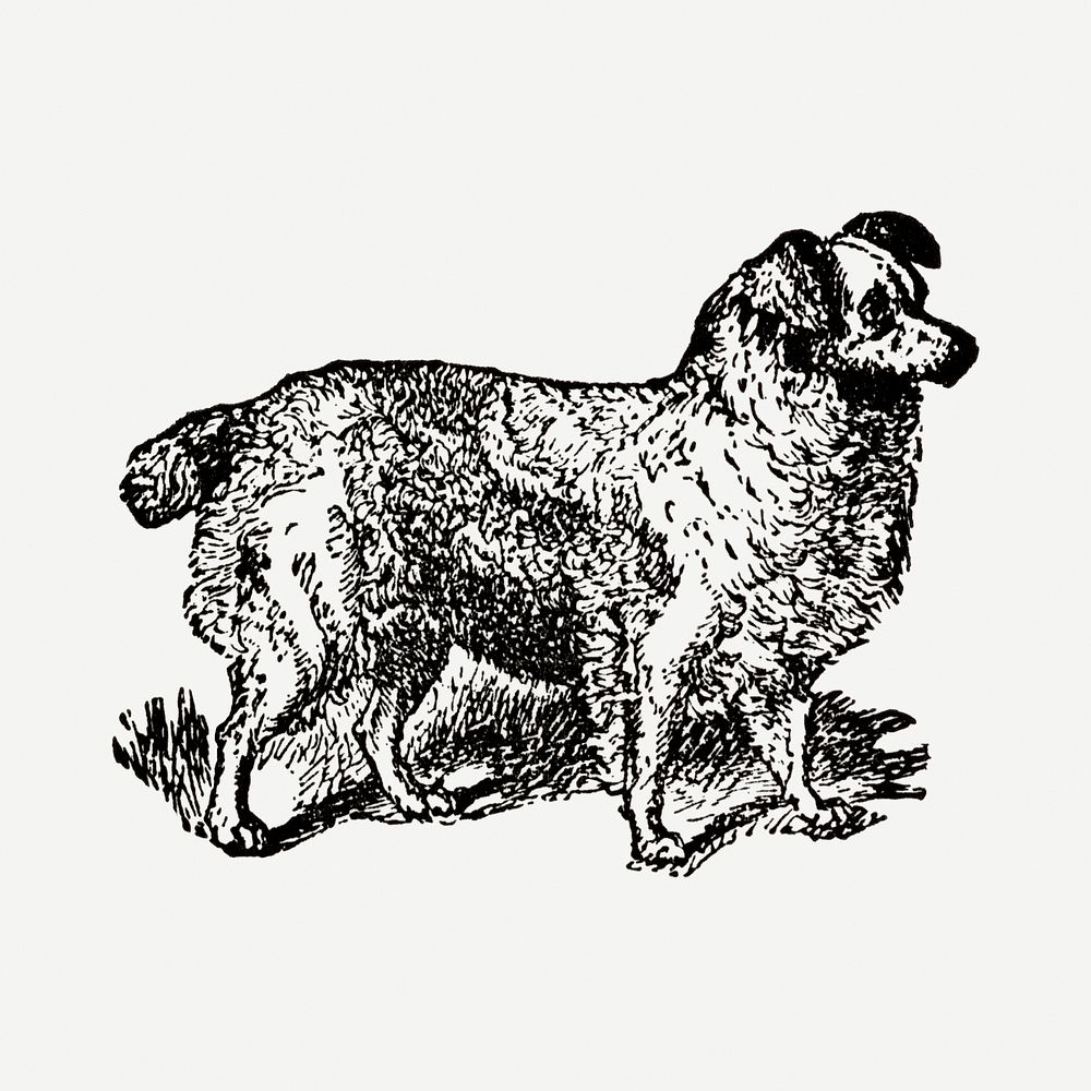 Truffle dog sticker, black ink drawing psd, digitally enhanced from our own original copy of The Open Door to Independence…