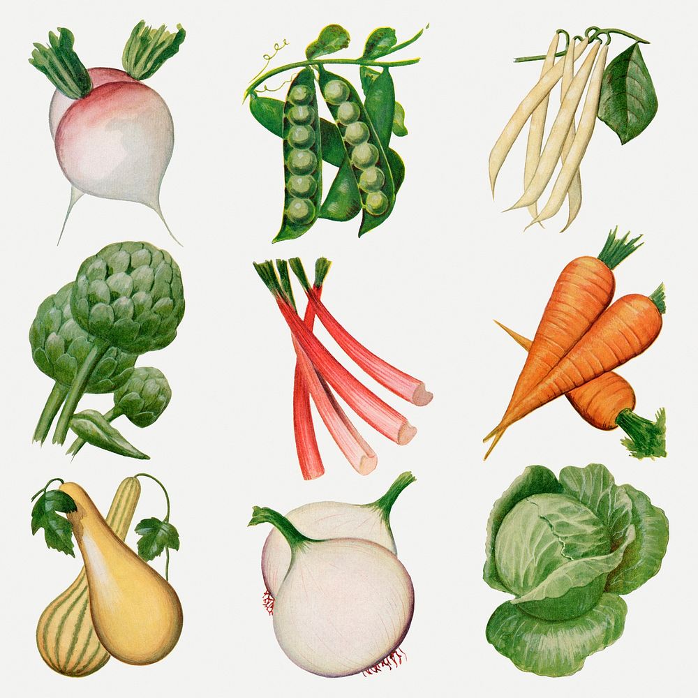 Watercolor vegetable sticker, vintage illustration psd set, digitally enhanced from our own original copy of The Open Door…