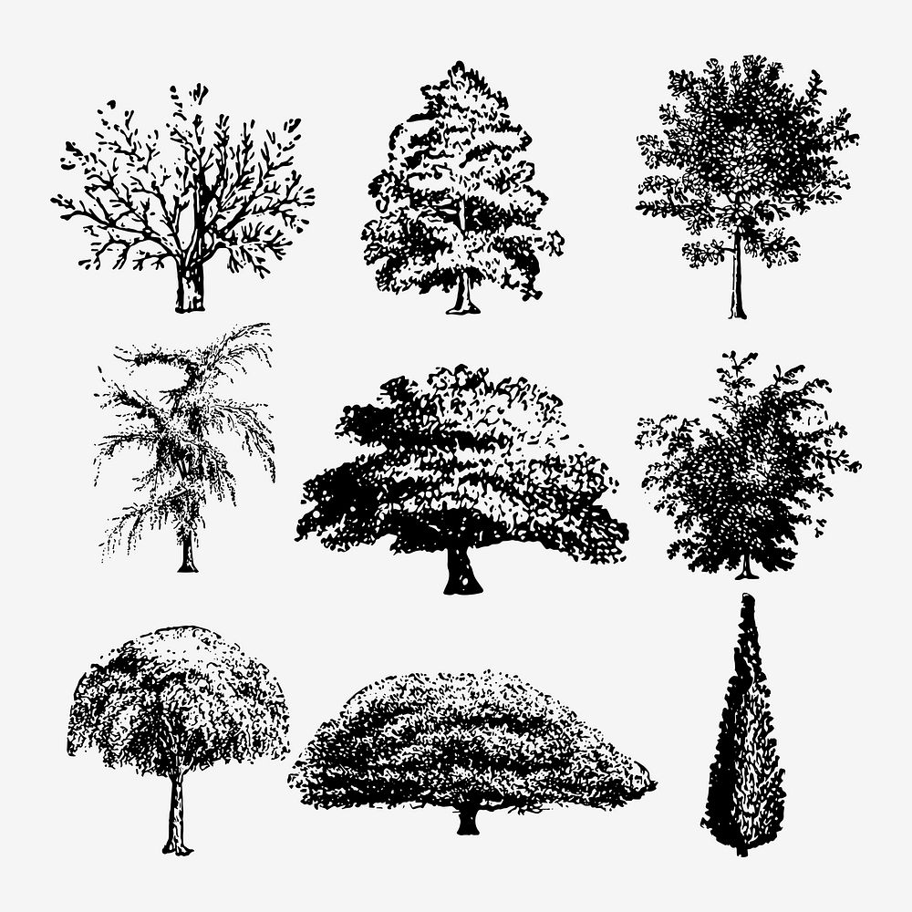 Tree sticker, vintage animal black ink illustration, vector set, digitally enhanced from our own original copy of The Open…