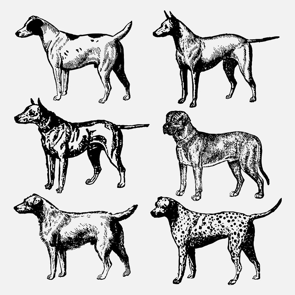 Dog sticker, vintage animal black ink illustration, vector set, digitally enhanced from our own original copy of The Open…