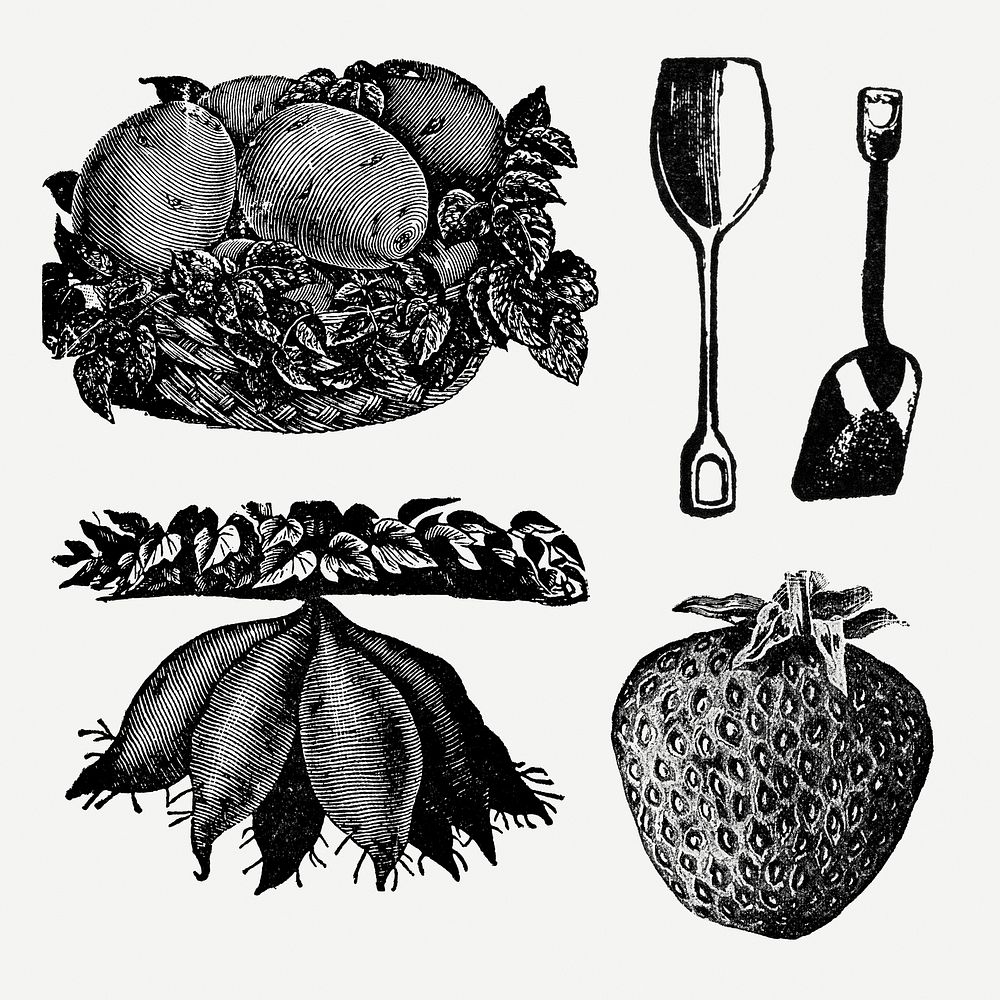 Farm produce clip art, vintage animal black ink illustration psd set, digitally enhanced from our own original copy of The…