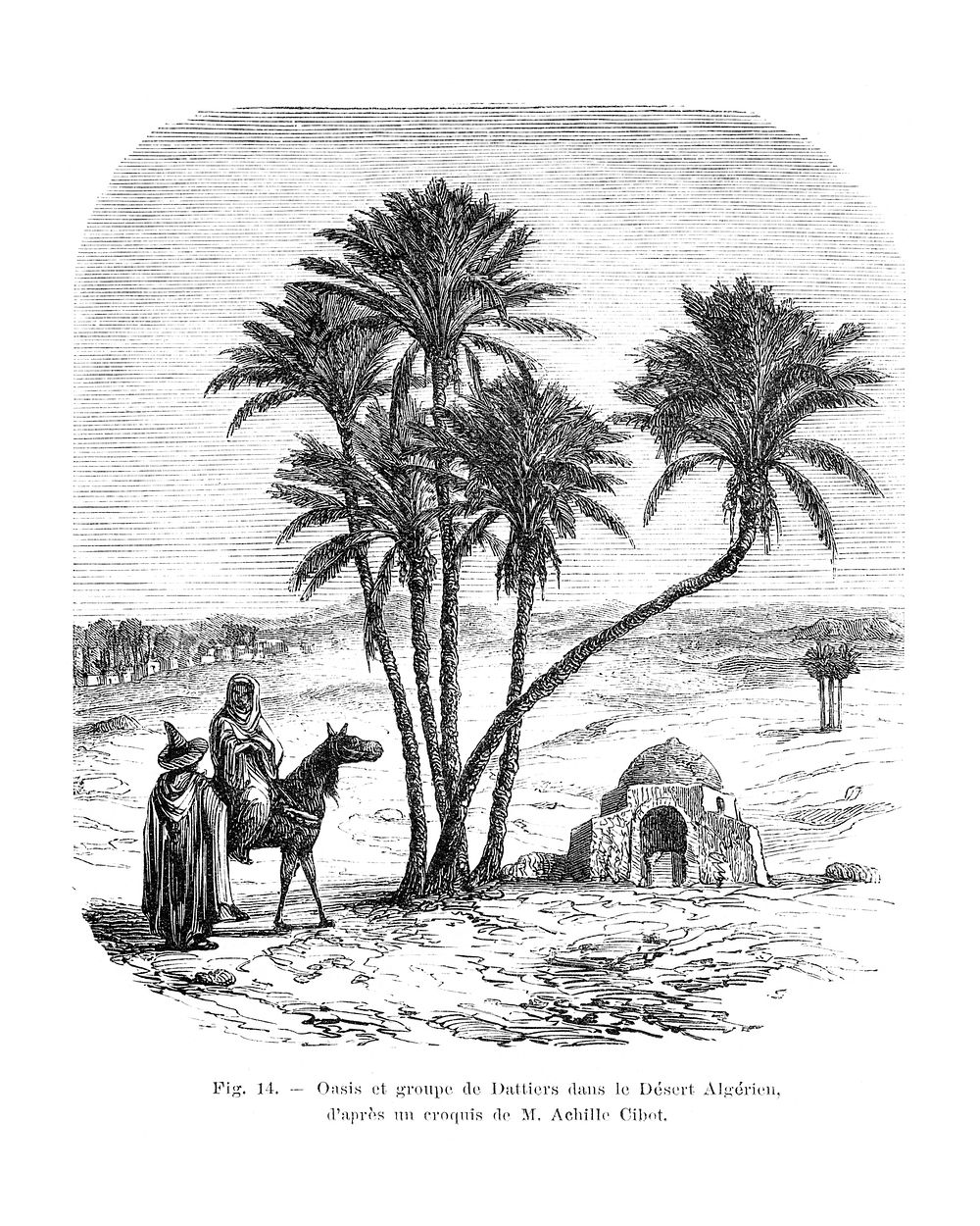 Palm tree art print, vintage drawing, remixed from our own original copy of Les Palmiers Histoire Iconographique (1878)…