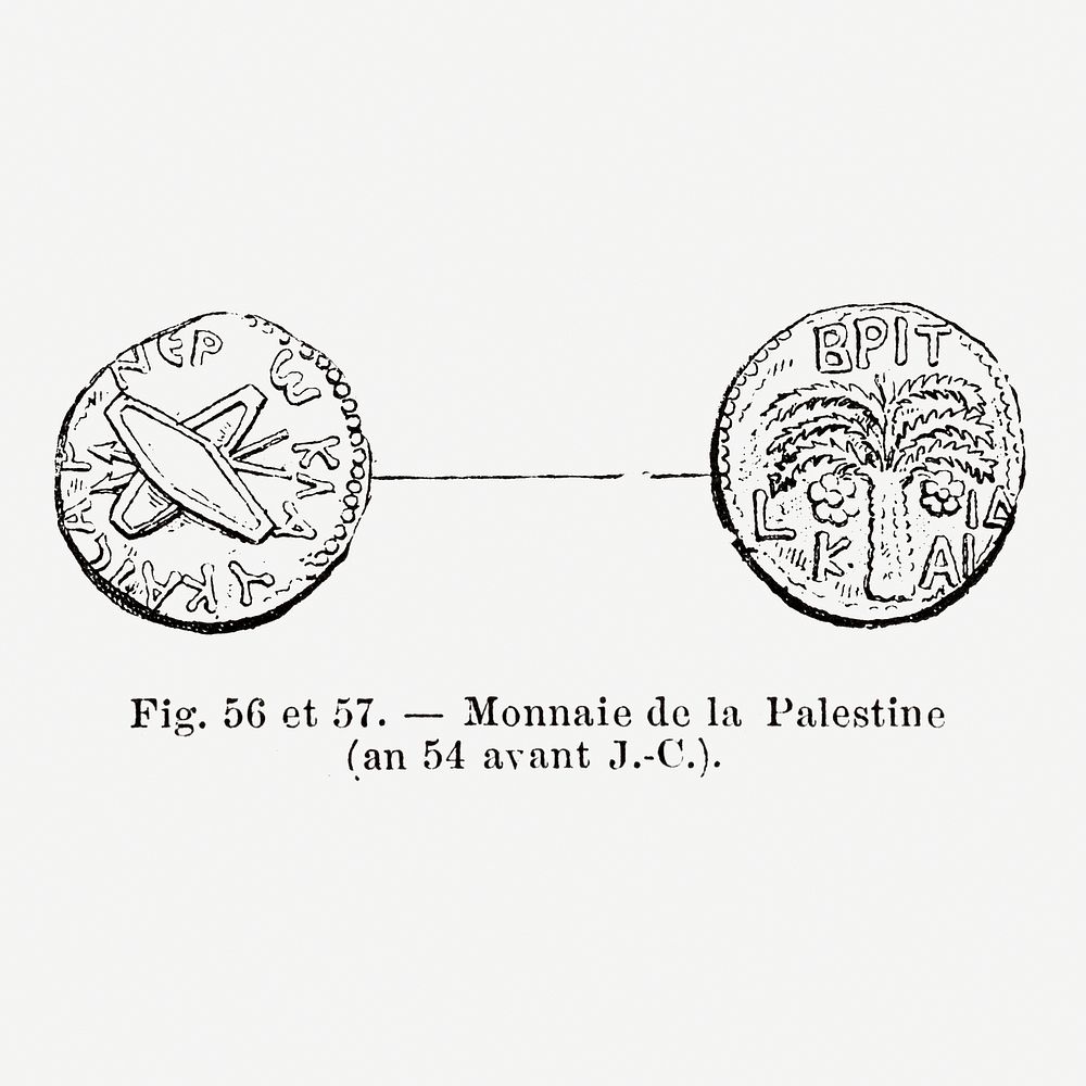 Vintage coin illustration. Digitally enhanced from our own original copy of Les Palmiers Histoire Iconographique (1878)…