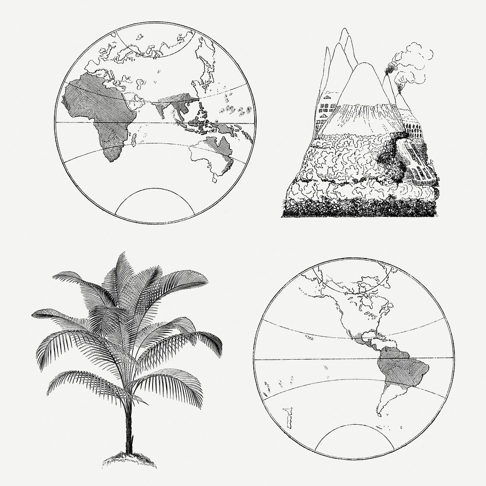 Vintage stickers, aesthetic botanical illustration, psd collage element set