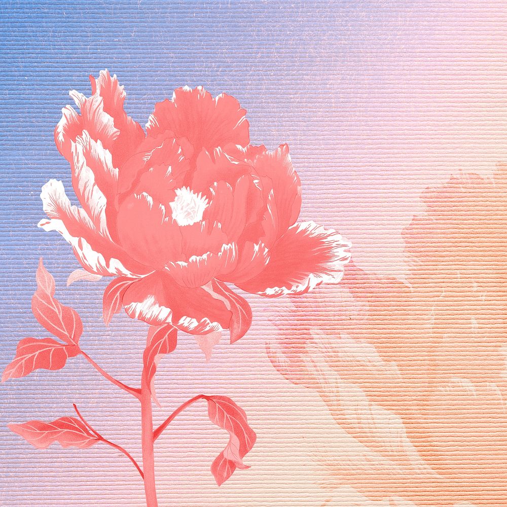 Japanese peony flower border, vintage colorful illustration psd
