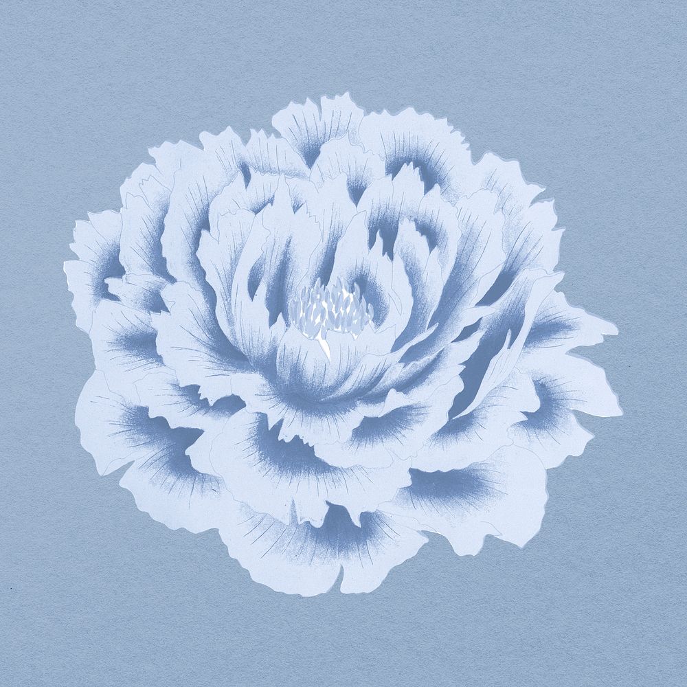 Peony flower clipart, blue botanical floral design psd