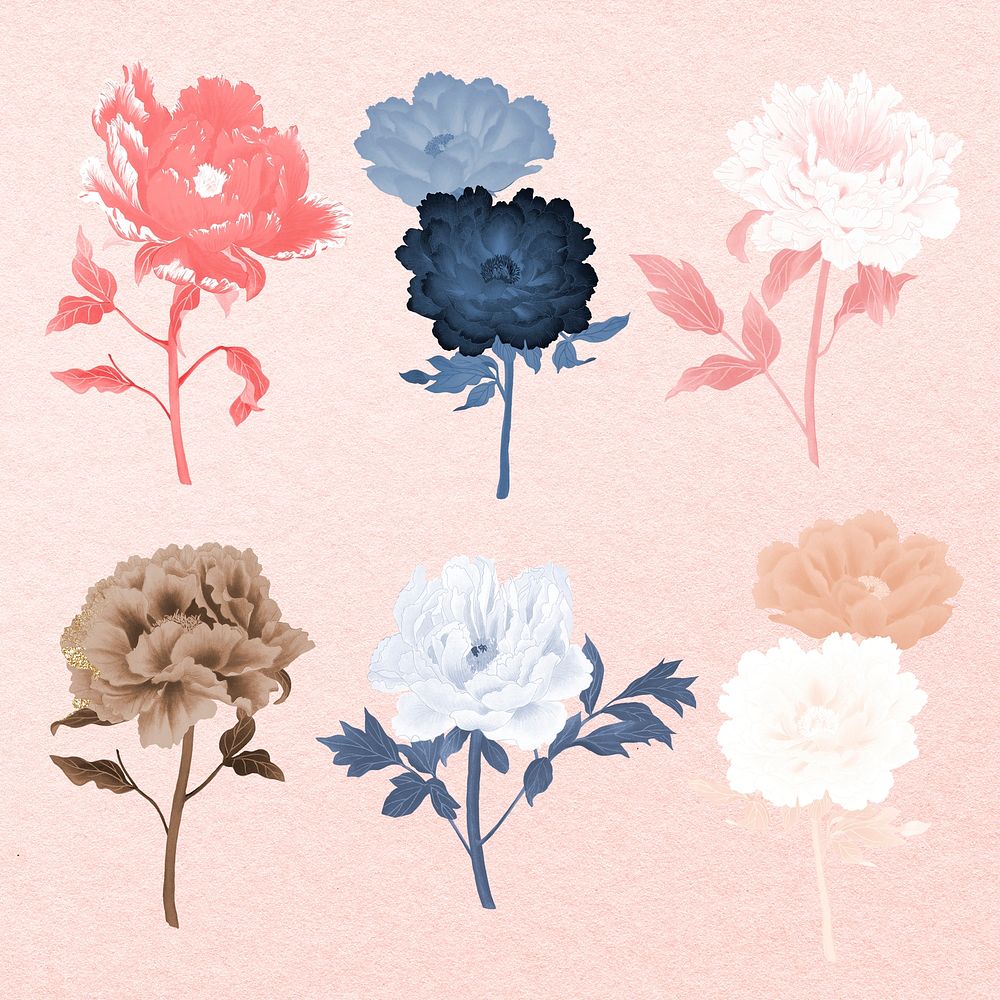 Peony sticker, aesthetic flower clipart, floral & botanical style psd set