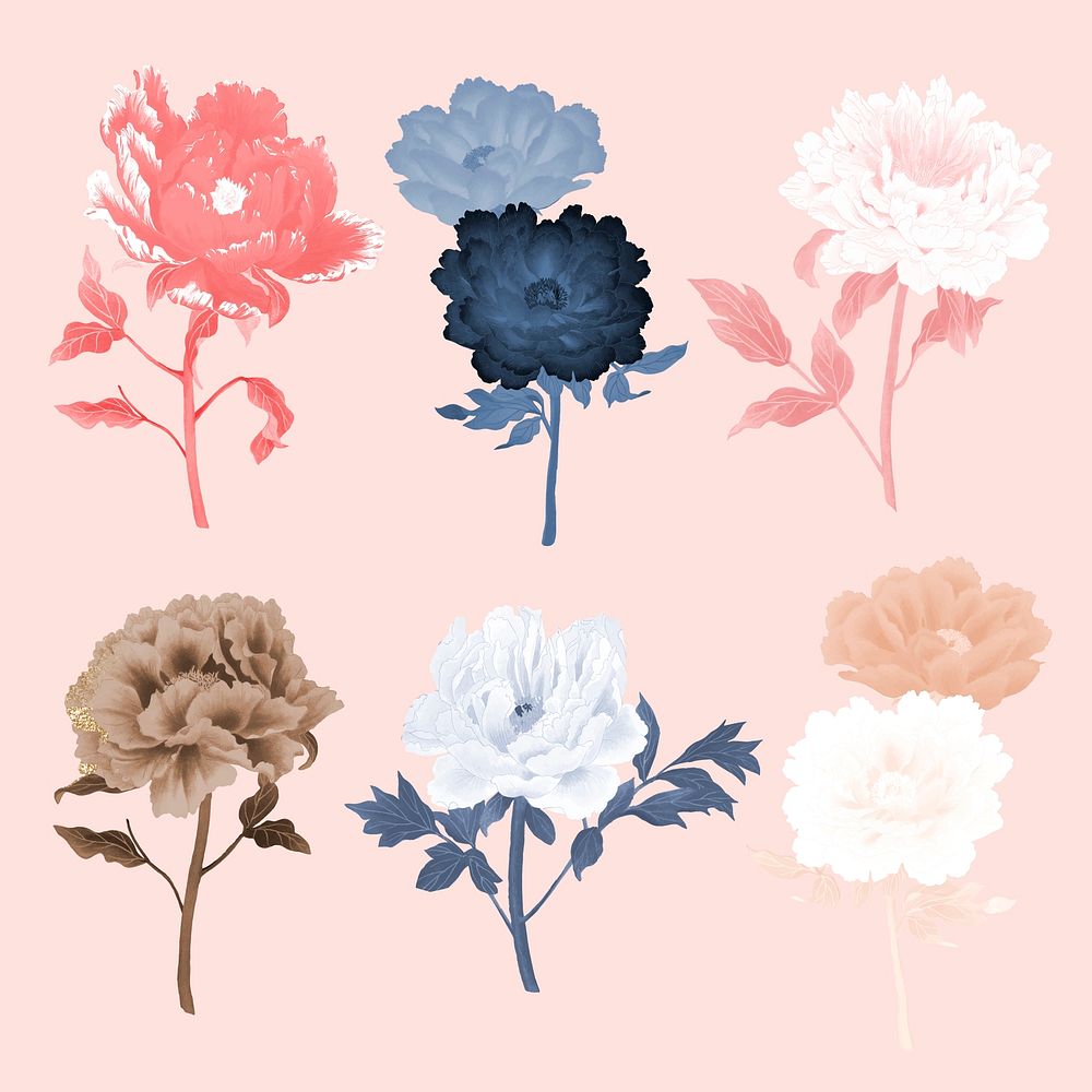 Aesthetic peony flower sticker, floral clipart vector set