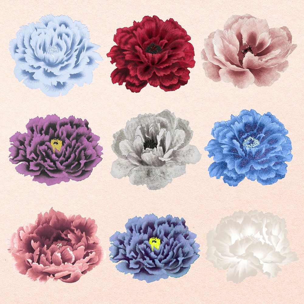 Aesthetic peony flower sticker, floral clipart psd set
