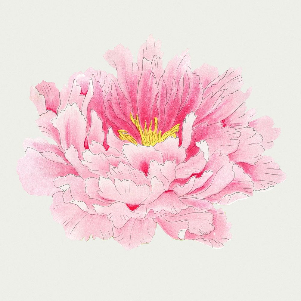 Pink peony sticker, Japanese botanical flower design element psd