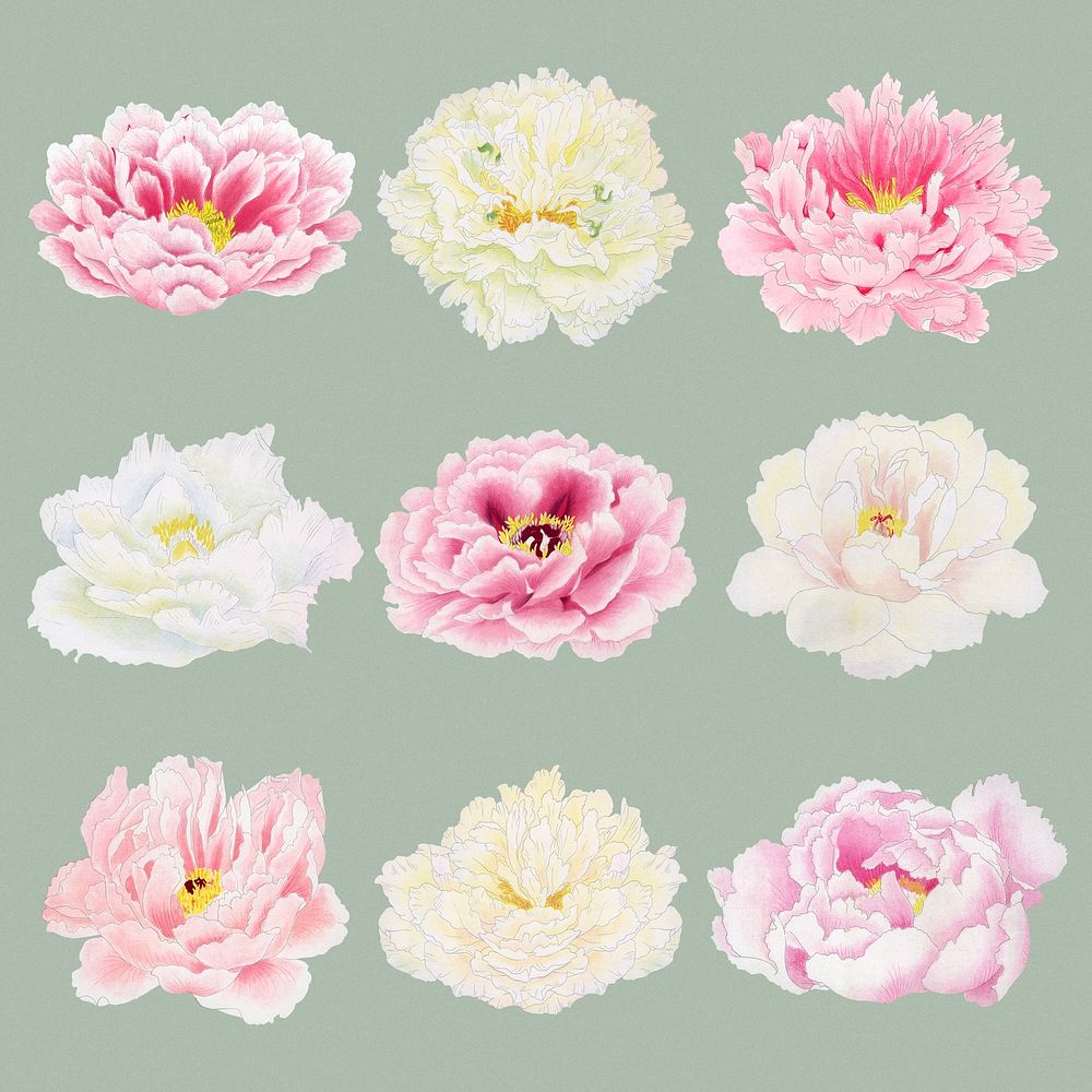 Pink peony sticker, Japanese botanical flower design element psd set