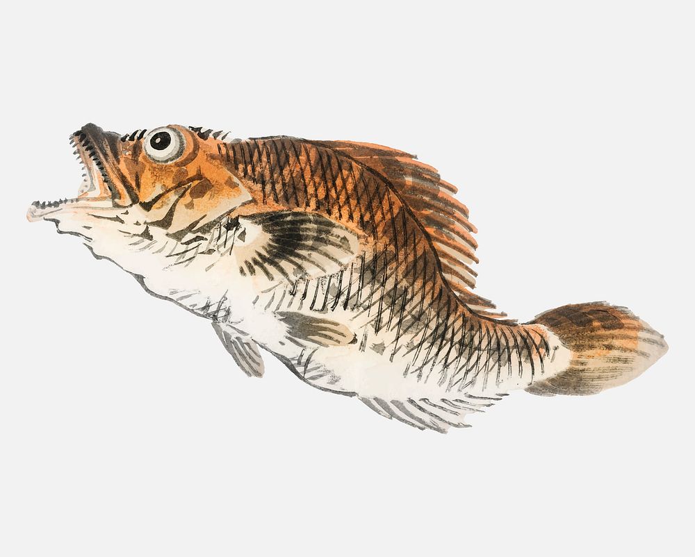 Muskellunge by Kōno Bairei (1844-1895). Digitally enhanced from our own original 1913 edition of Bairei Gakan.