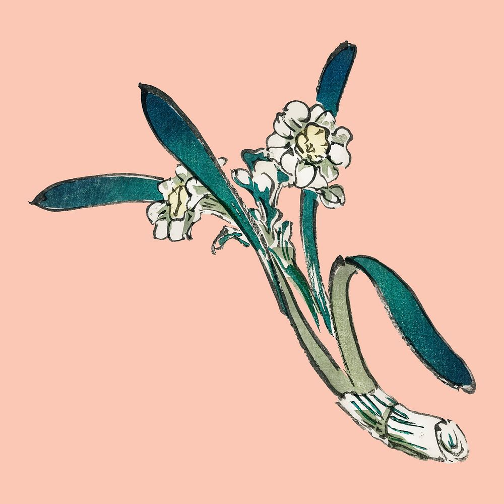 Bunchflower Daffodil by Kōno Bairei (1844-1895). Digitally enhanced from our own original 1913 edition of Bairei Gakan.