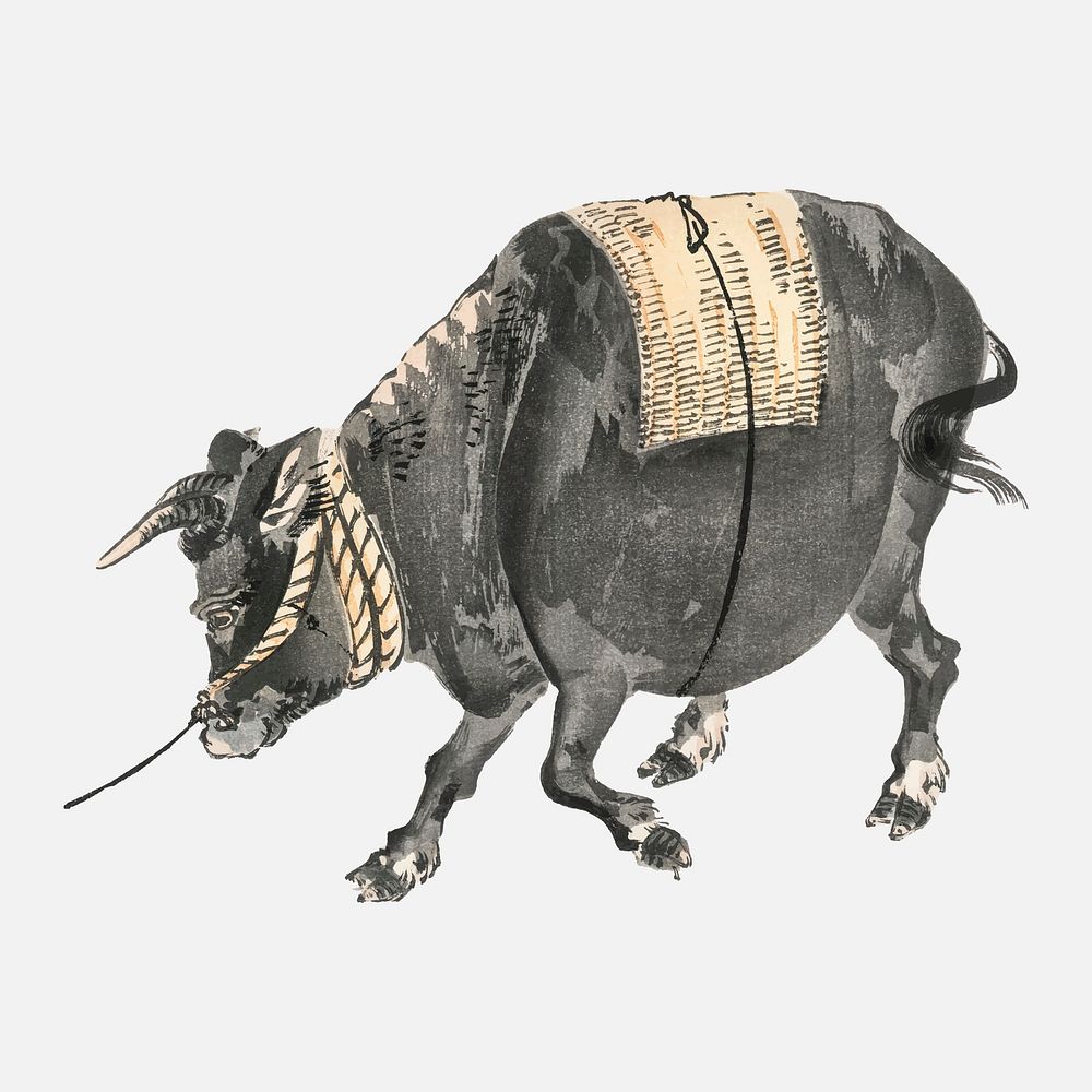 Black bull by Kōno Bairei (1844-1895). Digitally enhanced from our own original 1913 edition of Bairei Gakan.