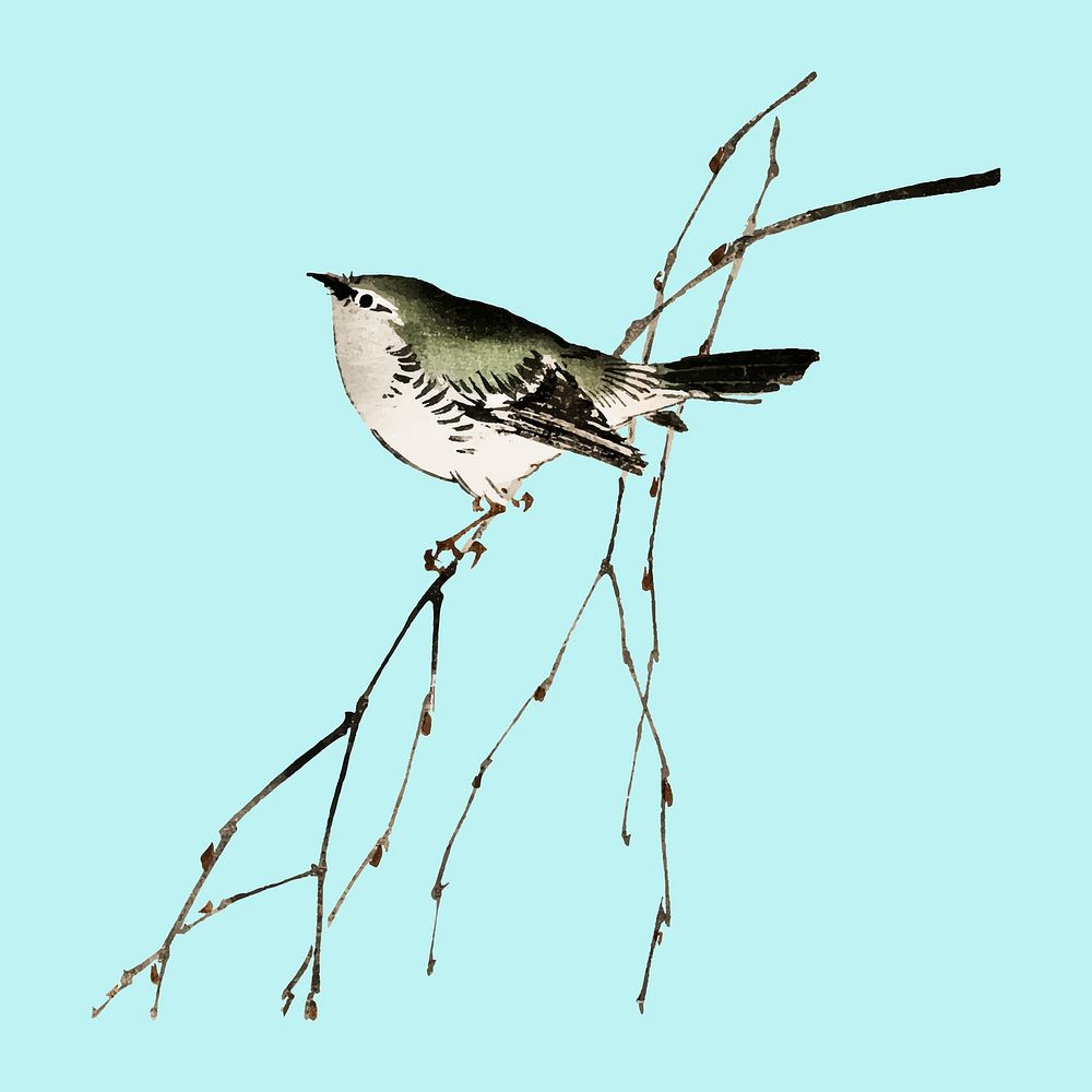 Tit by Kōno Bairei (1844-1895). Digitally enhanced from our own original 1913 edition of Bairei Gakan.