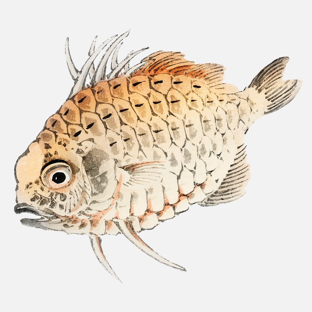 Fish by Kōno Bairei (1844-1895). Digitally enhanced from our own original 1913 edition of Bairei Gakan.