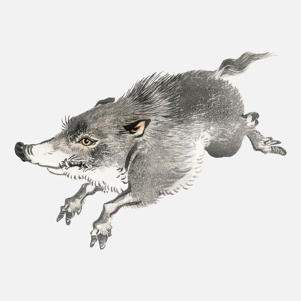 Wild boar by Kōno Bairei (1844-1895). Digitally enhanced from our own original 1913 edition of Bairei Gakan.