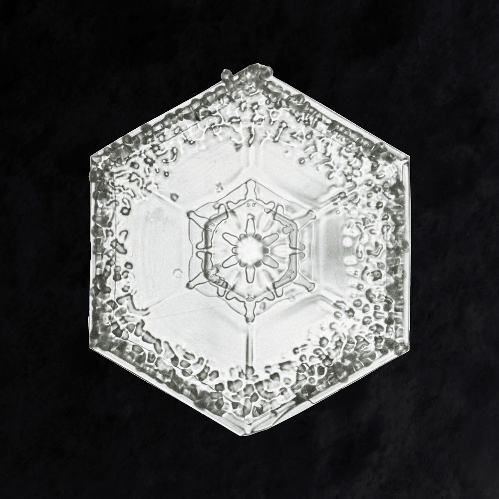 Wilson Bentley's Snowflake 951 (ca. 1890) detailed photograph of snowflakes in high resolution by Wilson Alwyn Bentley.…