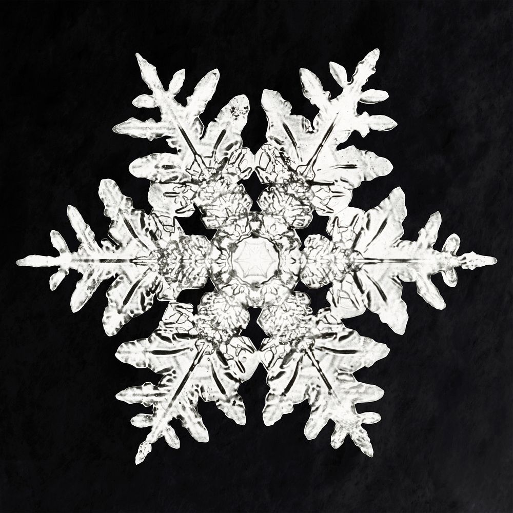 Christmas snowflake psd macro photography, remix of art by Wilson Bentley