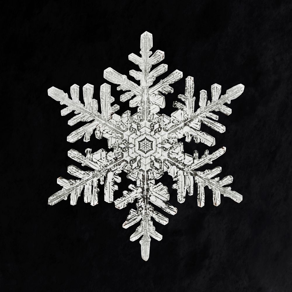 Wilson Bentley's Snowflake 1152 (ca. 1890) detailed photograph of snowflakes in high resolution by Wilson Alwyn Bentley.…