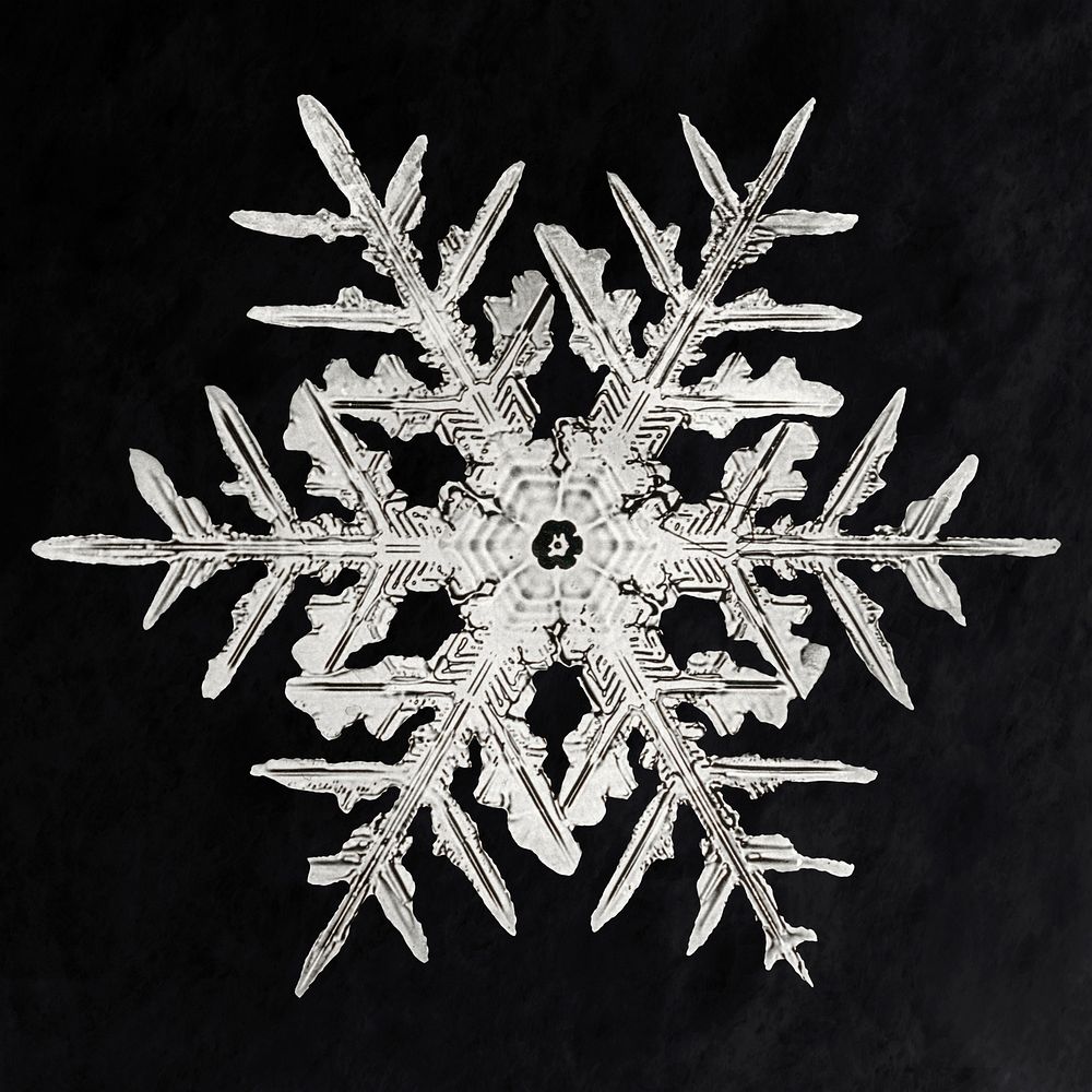 Wilson Bentley's Snowflake 332 (ca. 1890) detailed photograph of snowflakes in high resolution by Wilson Alwyn Bentley.…