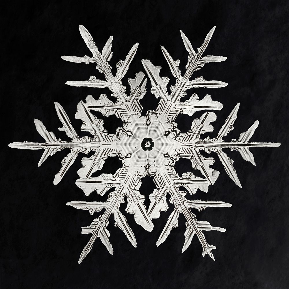 Icy snowflake psd macro photography, | Premium PSD - rawpixel