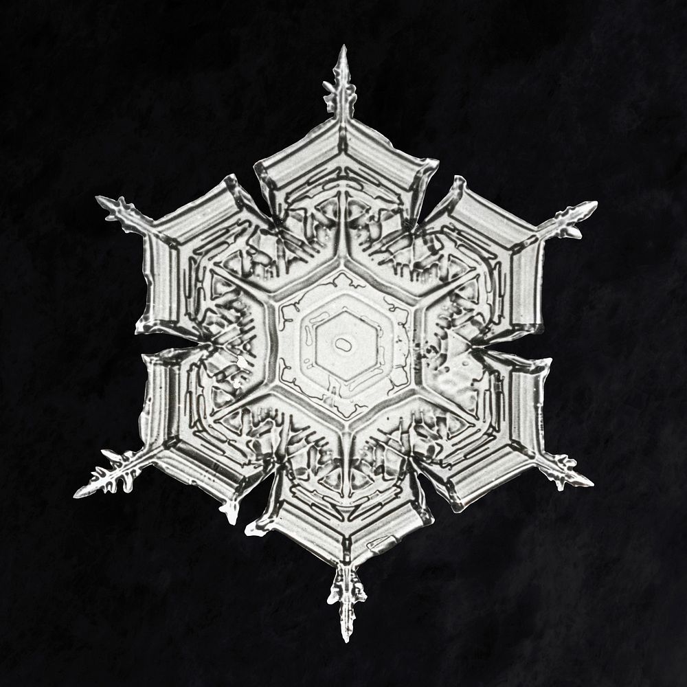 Wilson Bentley's Snowflake 579A (ca. 1890) detailed photograph of snowflakes in high resolution by Wilson Alwyn Bentley.…