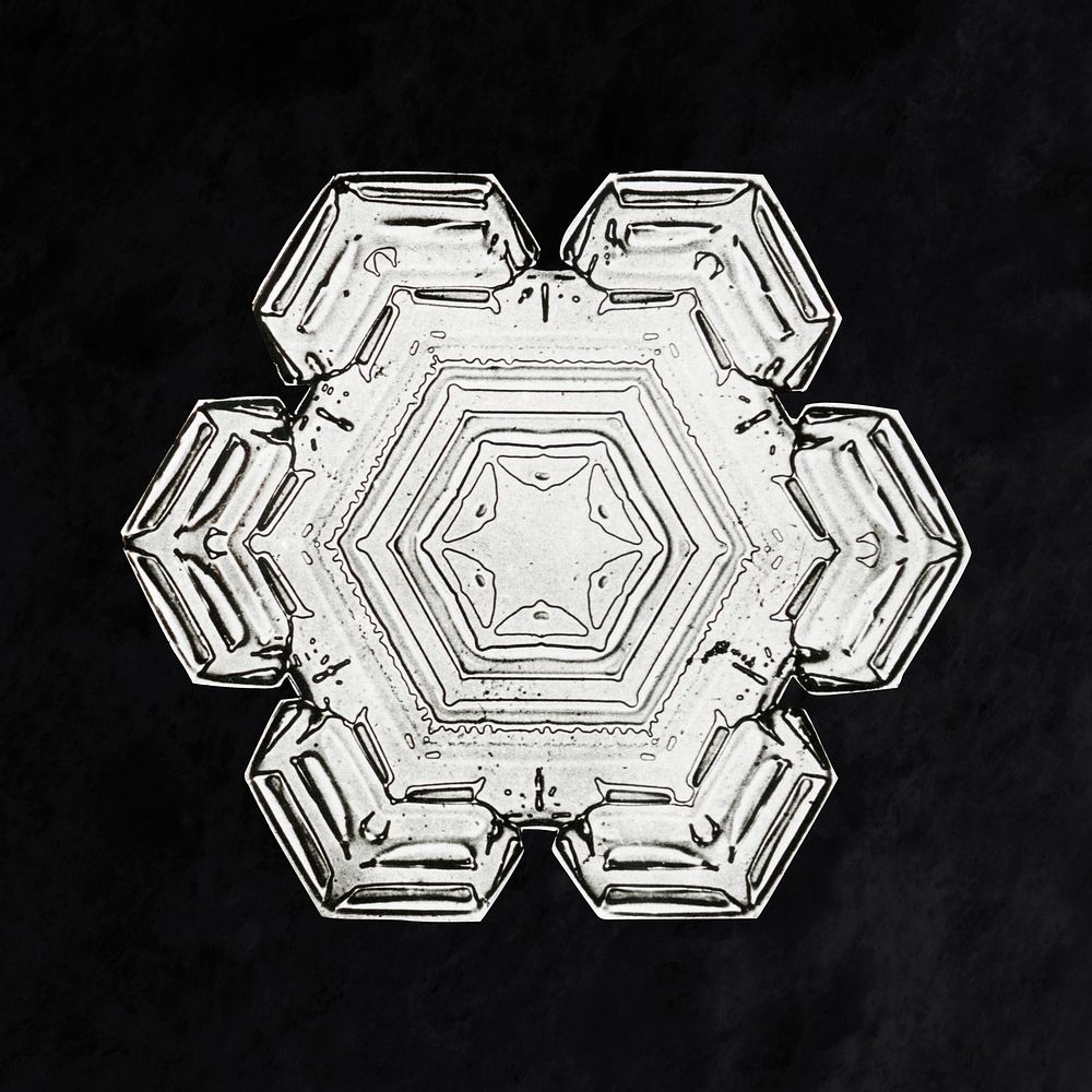 Wilson Bentley's Snowflake 10 (ca. 1890) detailed photograph of snowflakes in high resolution by Wilson Alwyn Bentley.…