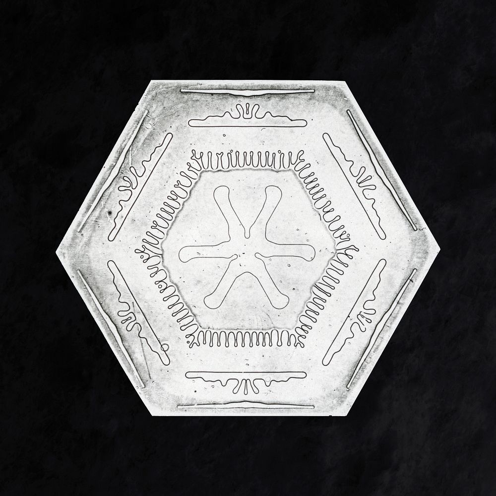 Wilson Bentley's Snowflake 10 (ca. 1890) detailed photograph of snowflakes in high resolution by Wilson Alwyn Bentley.…