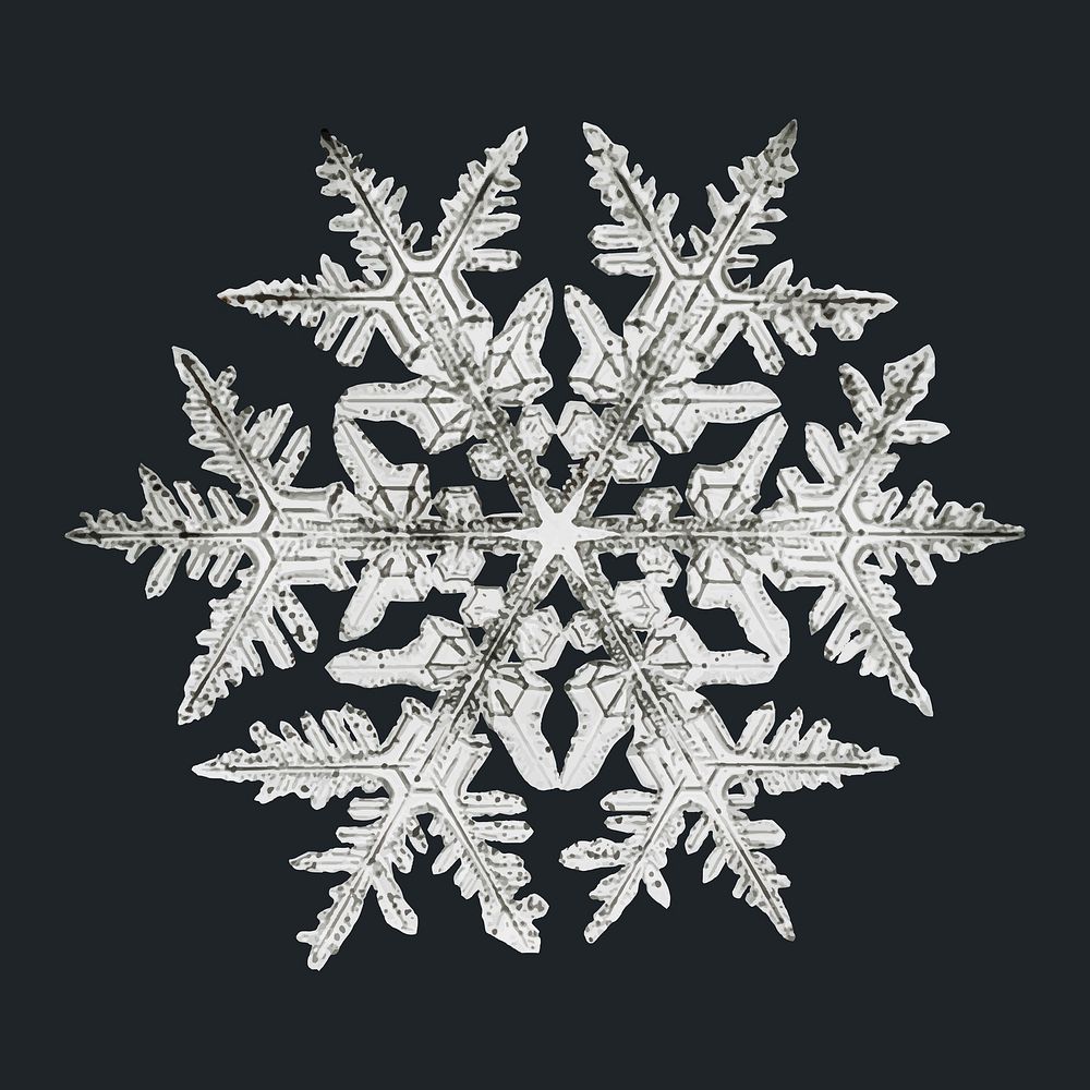 Snowflake vector Christmas ornament macro photography, remix of photography by Wilson Bentley