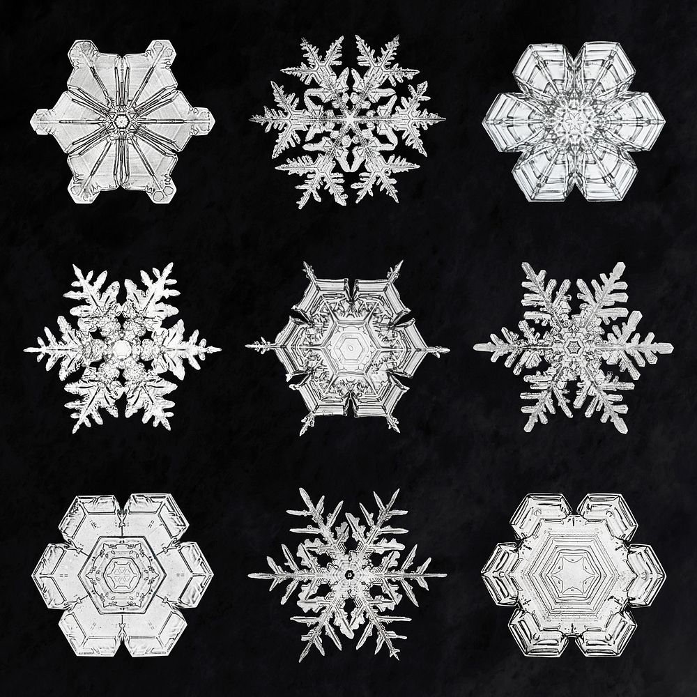 Festive winter snowflake psd macro photography set, remix of art by Wilson Bentley