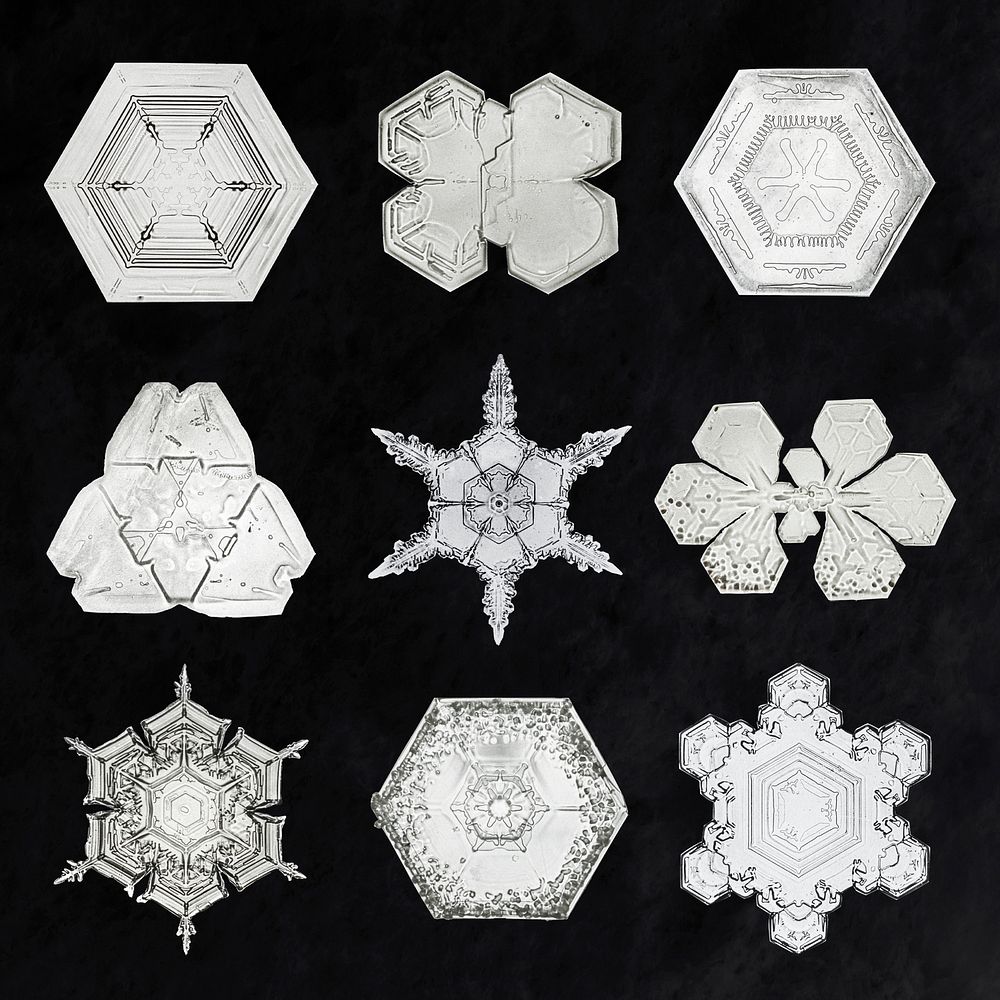 New year snowflake psd macro photography set, remix of art by Wilson Bentley