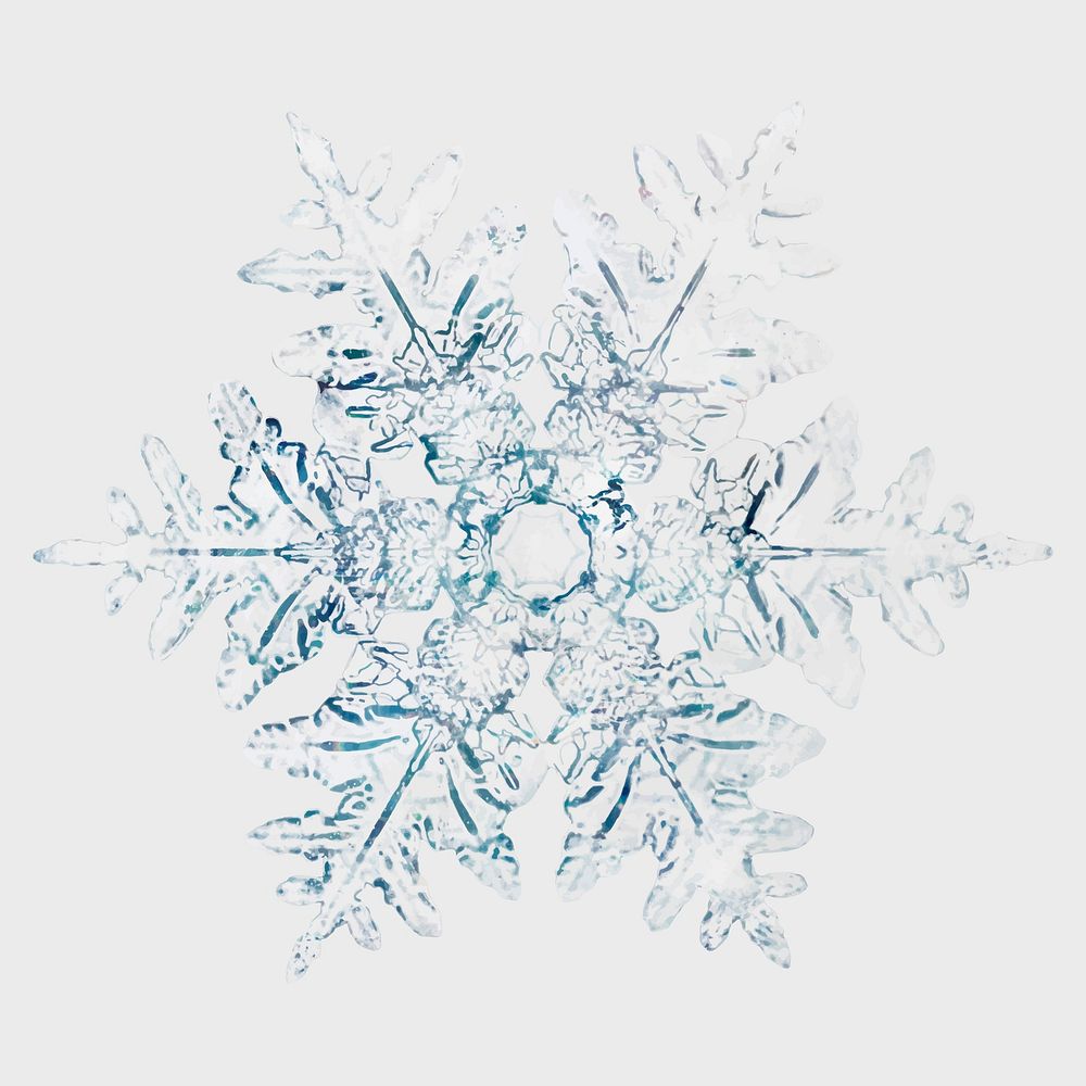 Icy snowflake vector macro photography, remix of art by Wilson Bentley