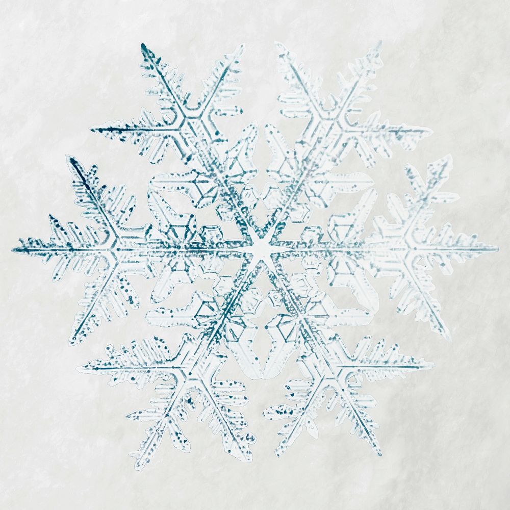 New year snowflake psd macro photography, remix of art by Wilson Bentley