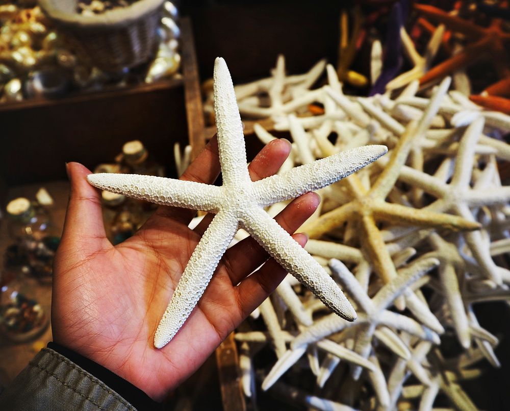 Artificial starfish