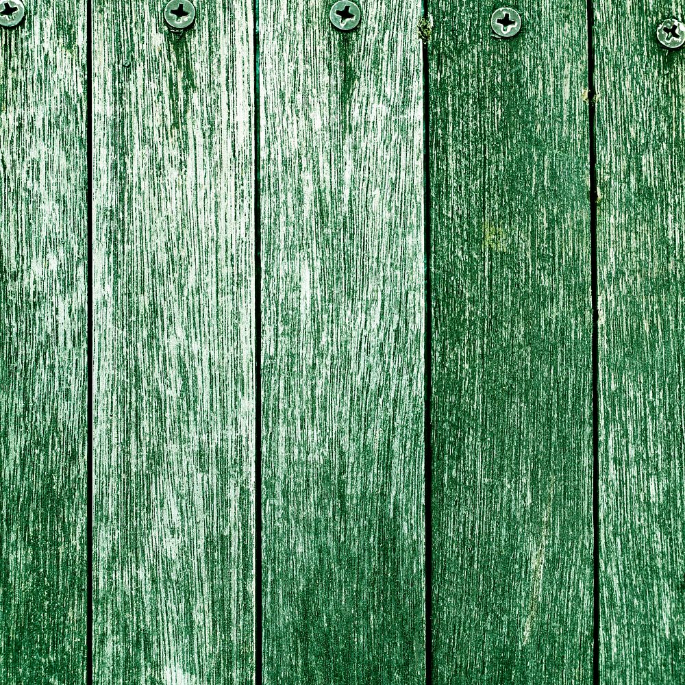 Forest green wood texture background