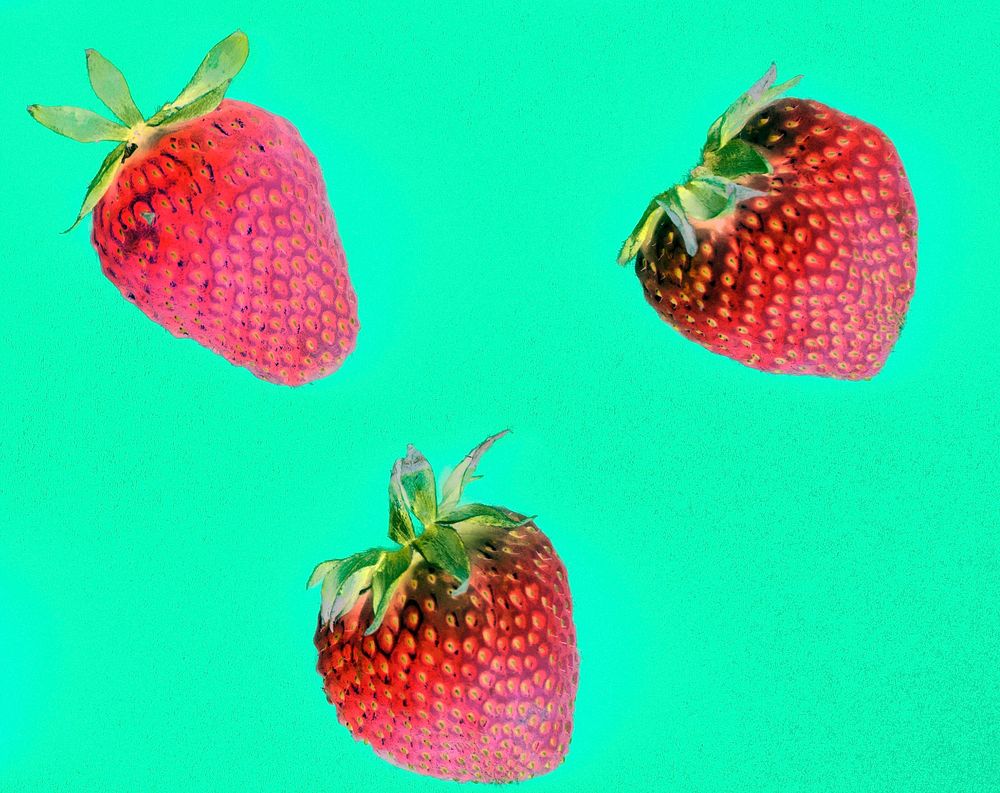 Macro of yummy strawberries on green background
