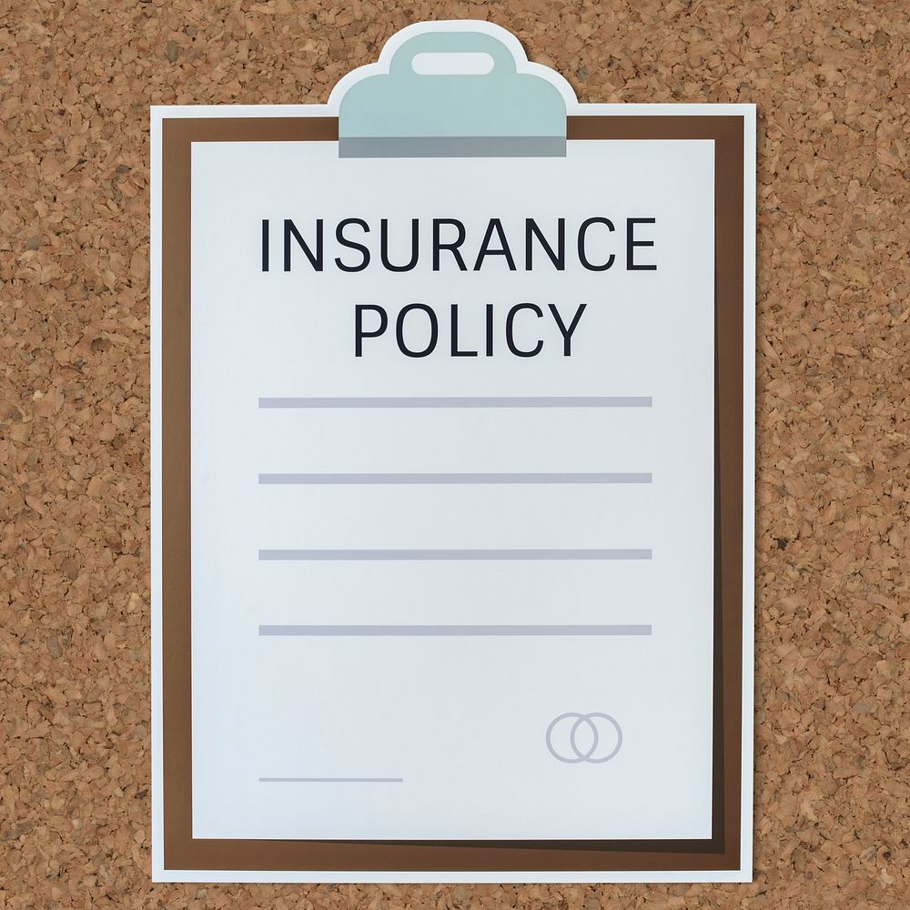 Insurance policy information form icon