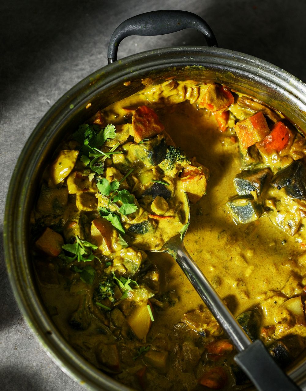 Freshly cooked vegetable curry in a pot