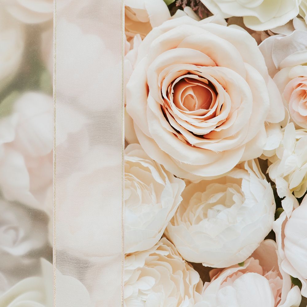Pastel flower with cleare ribbon background