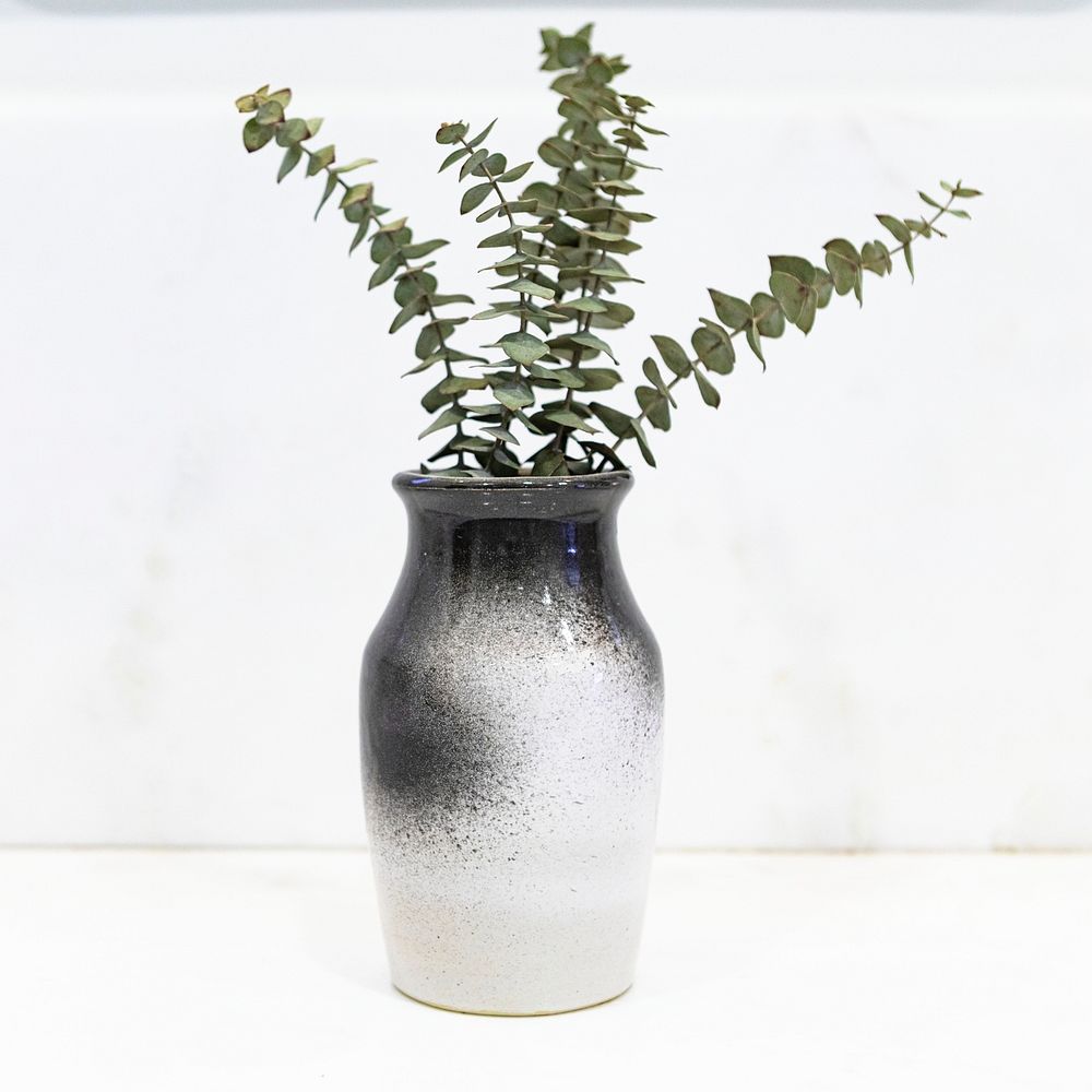 Eucalyptus leaves in a black and white vase