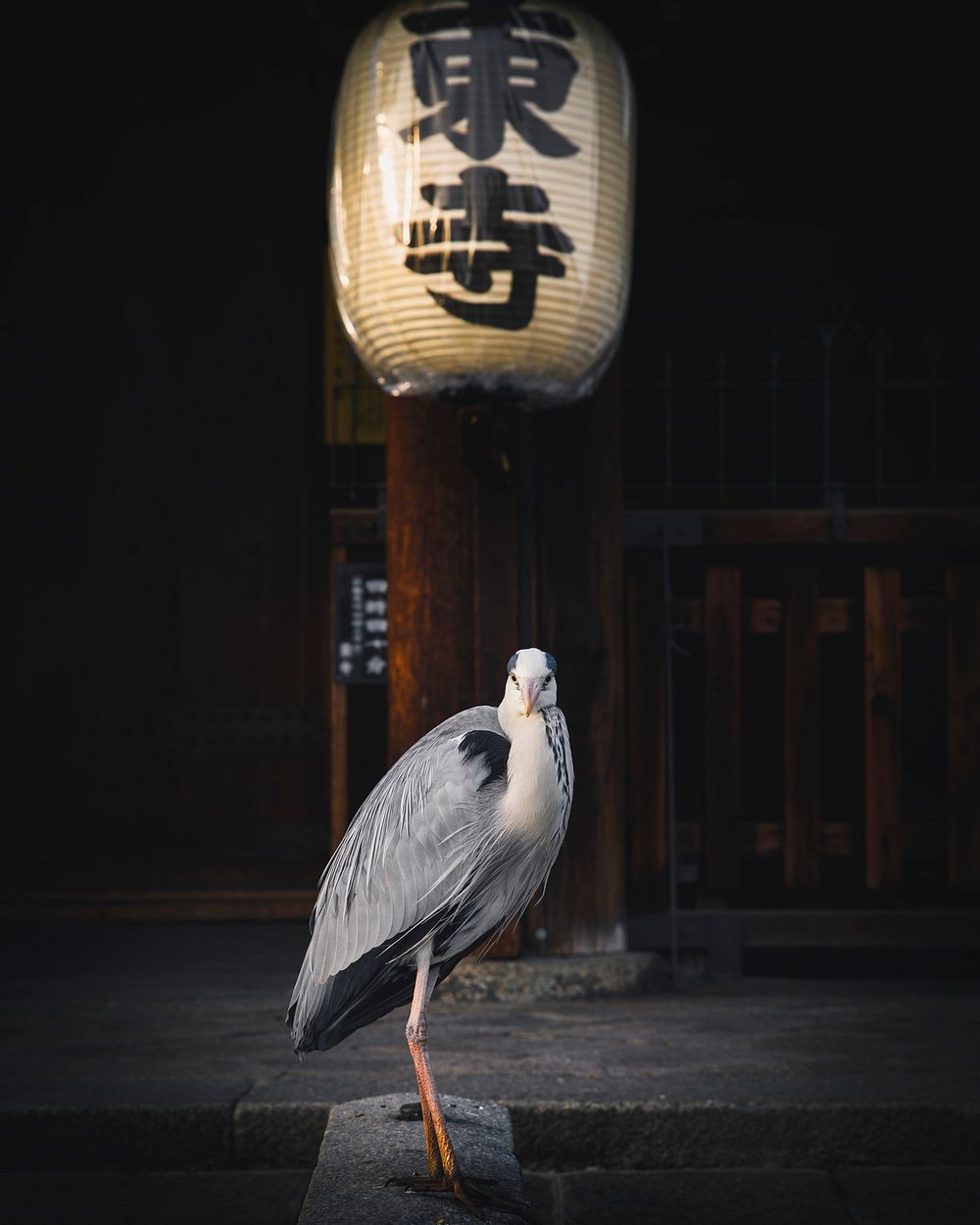 Chinese heron in a temple