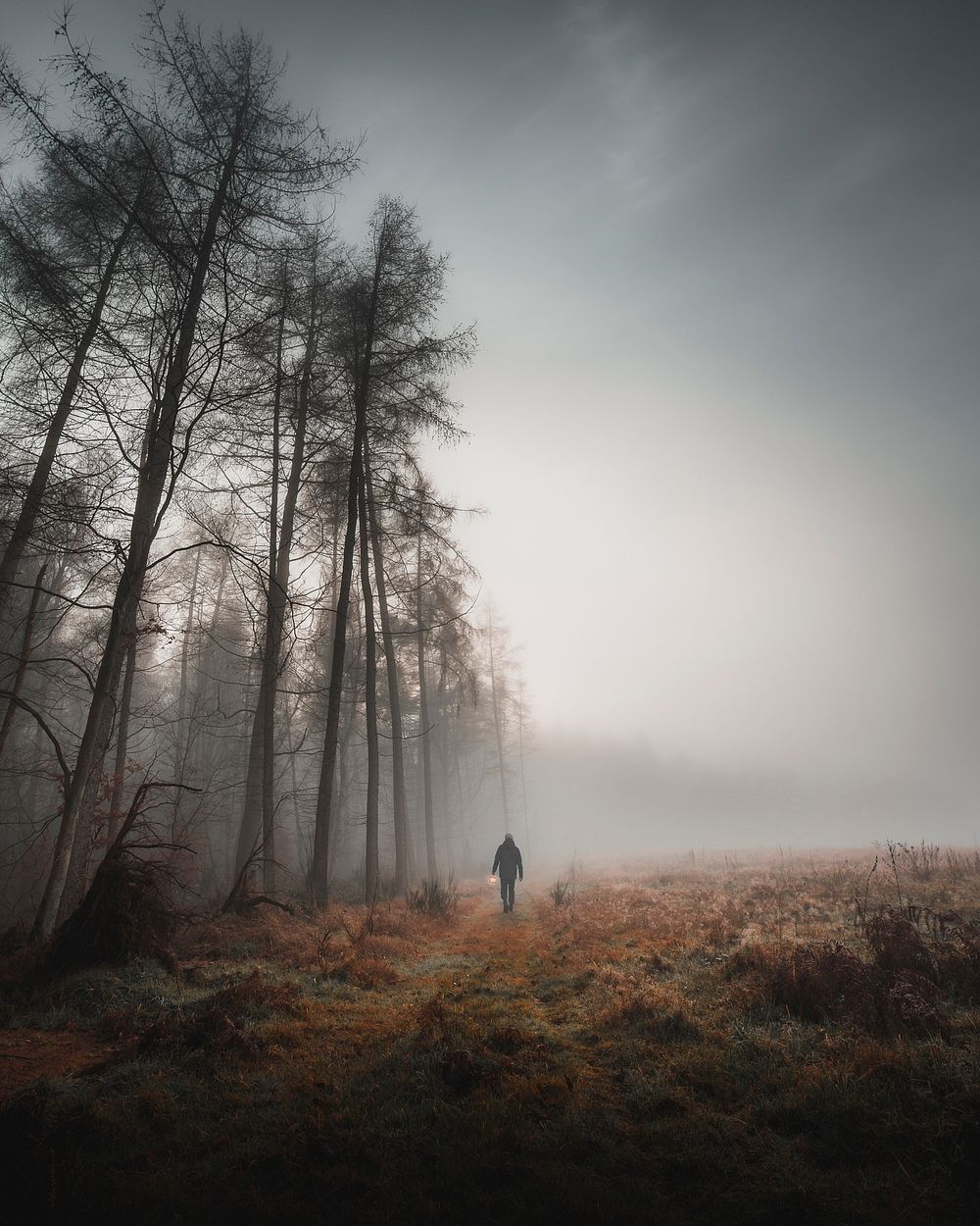 Man walking in the misty woods with a lamp