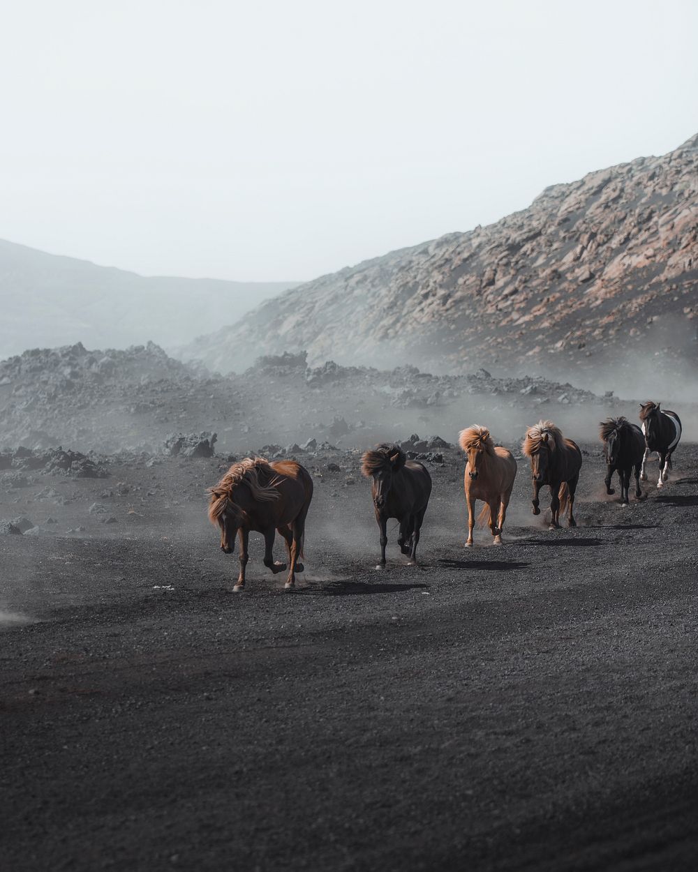 Horses running on a dusty volcano