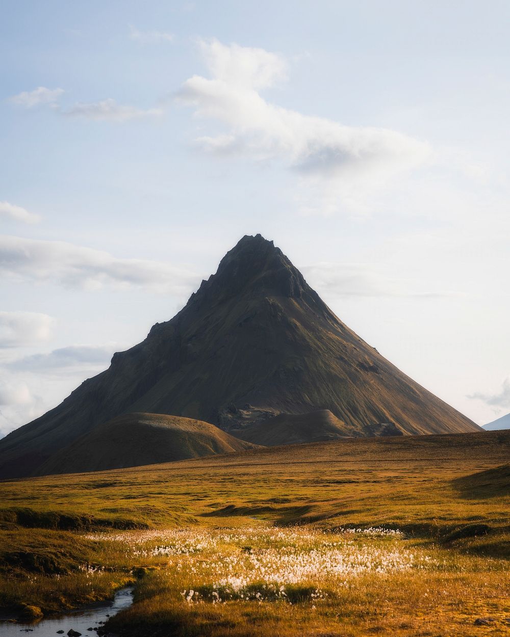 Golden field with a sharp mountain